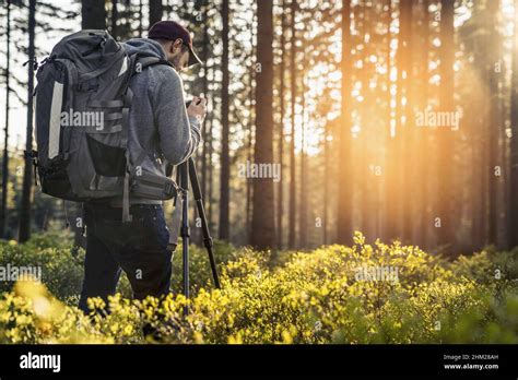 Photographer Takes A Picture In Silent Forest In Spring With Beautiful