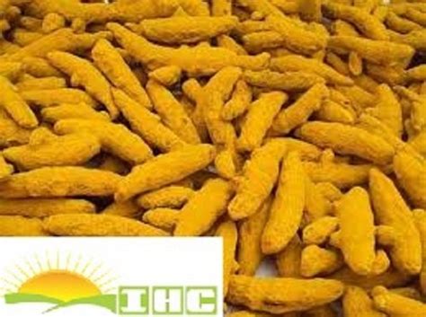 Turmeric Finger Dried Turmeric Finger Latest Price Manufacturers
