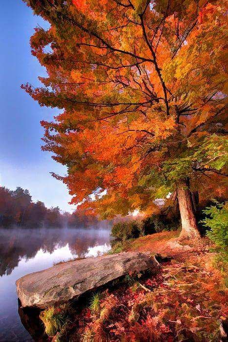 Beautiful Oranges Of Fall Autumn Scenery Scenery Beautiful Landscapes