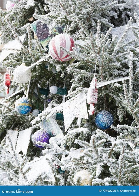 Beautiful Snow Covered Spruce Christmas Decoration Stock Photo Image