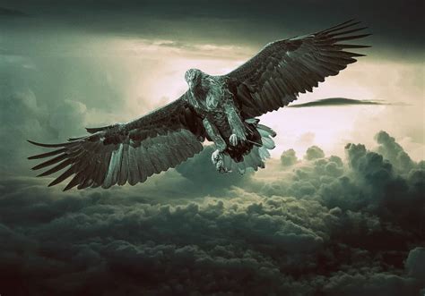 The Eagle Spirit Animal Ultimate Guide Meanings And Symbolism