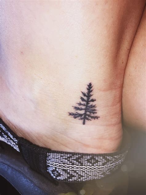 Cedar Tree Tattoo 🌲 Arm Tattoo Tree Tattoo Art Tree Tattoo Ankle