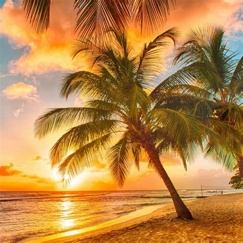Tropical Beach Pictures Wallpaper Tropical Beach Pictures Wallpapers
