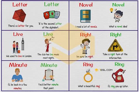100 Common Examples Of Homographs In English 7esl
