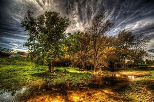 Spain, Water, Hdr, Trees, Grass, Clouds, Zaragoza, Nature
