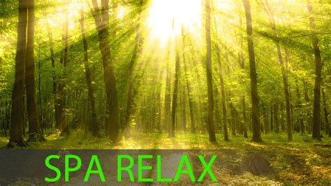 8 Hour Relaxing Spa Music Massage Music Calming Music Meditation Music Relaxation Music ☯251