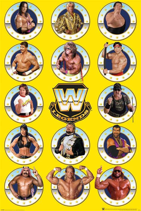 Wwe Legends Chrome Wrestling Plakat 61x915 Cm 12221287247 Allegropl