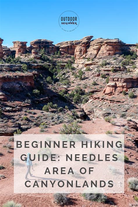 Beginners Trail Guide Needles Area Of Canyonlands National Park