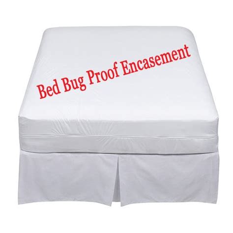 This is a question i'm often asked when recommending solutions to bed bugs, dust mites, and other infestations. Lab Certified|6 Months Warranty|money Back Guarantee|bed ...