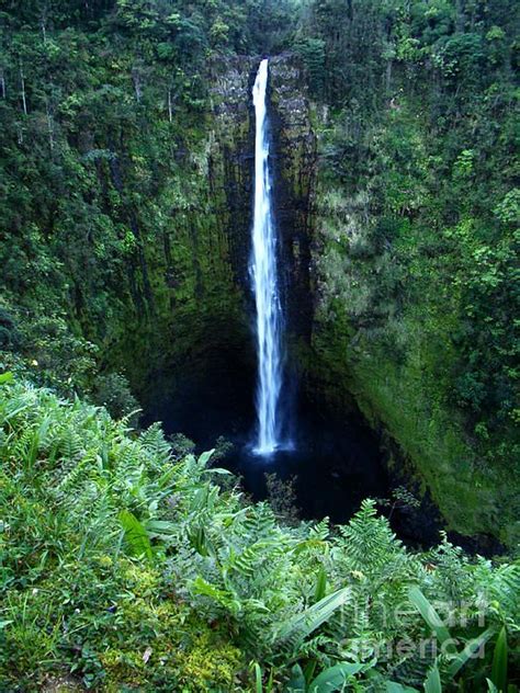 Hawaiian Waterfall By Eva Kato Hawaiian Waterfall Waterfall Hawaiian