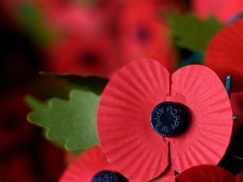 The Facebook Post About Muslims And Poppies That Explains Why No One Is