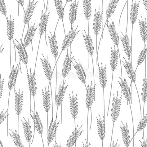 Seamless Wheat Crops Design Stock Vector Illustration Of Wheat