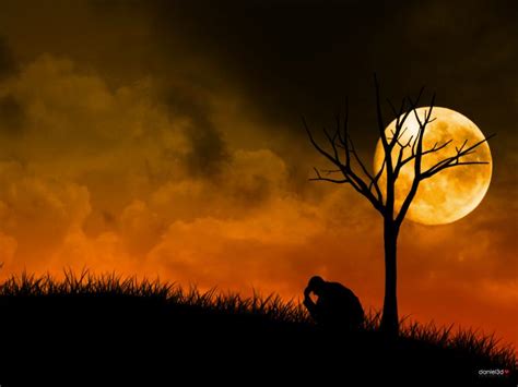 Free Download Sad Tree Wallpaper Background 26829 1498x998 For Your