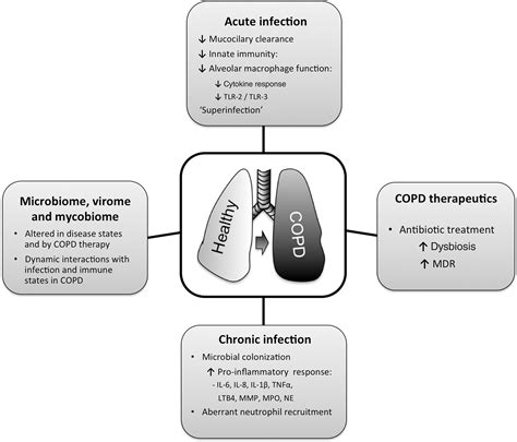 The Role Of Acute And Chronic Respiratory Colonization And Infections