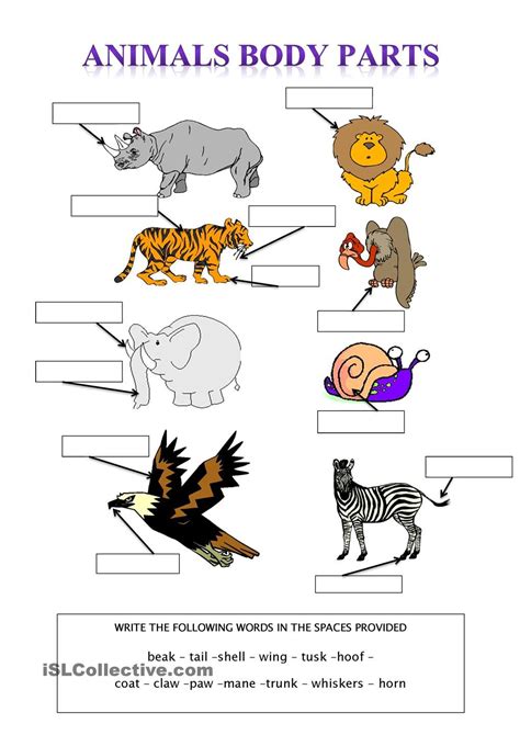 Animal Body Parts Printable Worksheets Learning How To Read