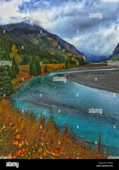 Near Field British Columbia Autumn Colours And Kicking Horse River