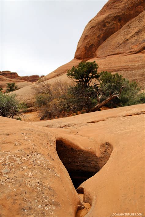 Check spelling or type a new query. The Best Hike in Arches National Park Utah - Devils Garden ...