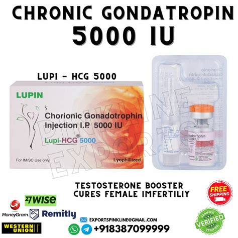 Lupi Hcg 5000 Iu Packaging Size 1 Vial At Rs 420box In Jaipur Id