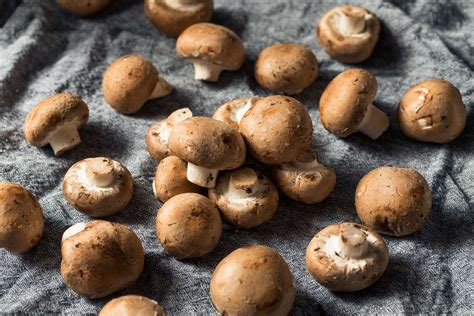 Baby Bella Mushrooms Recipes And Benefits Fine Dining Lovers
