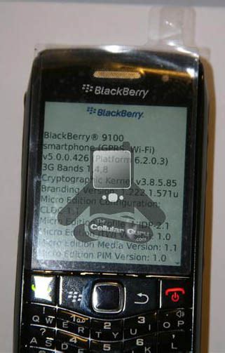 Blackberry Pearl 9100 Gets Pictured Detailed