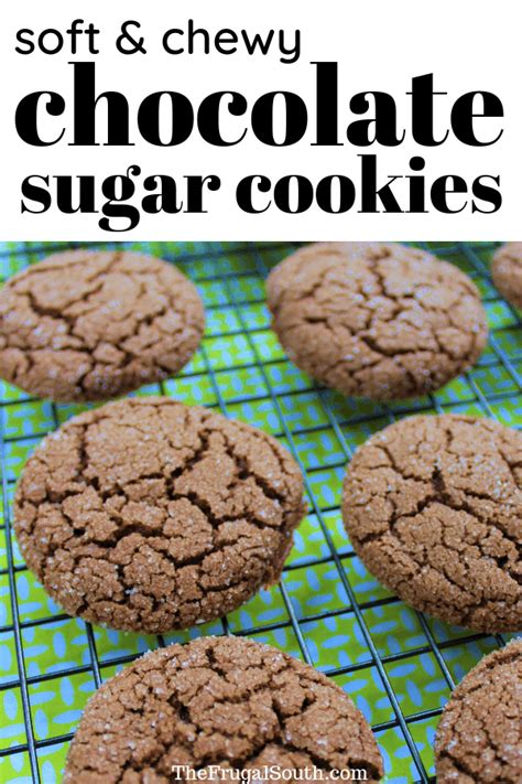 Easy Chocolate Cookies Without Butter Recipe The Frugal South