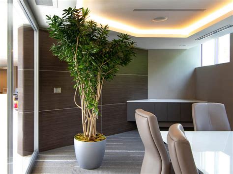 Decorative Plant Service Home Interior Design