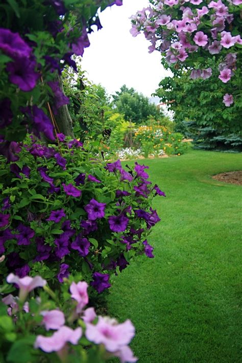 Maybe you would like to learn more about one of these? 2880 best My Secret Garden images on Pinterest