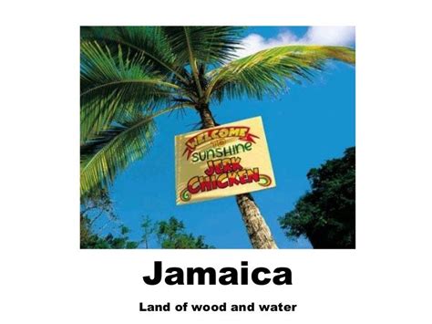 Jamaica Land Of Wood And Water Summary