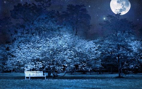Hd Night Bench Park Trees Stars Moon Sky Light Darkness Cg Digital Art