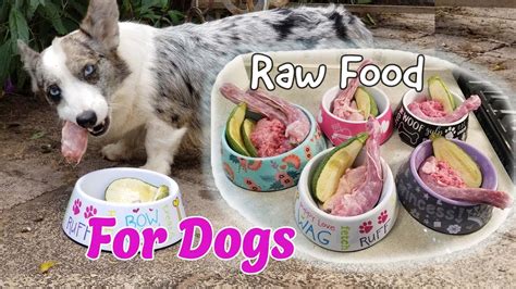 Can You Feed Dog Raw Pork