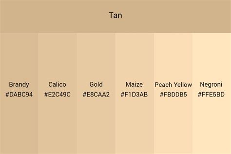 All You Need To Know About Tan Color An Ultimate Guide