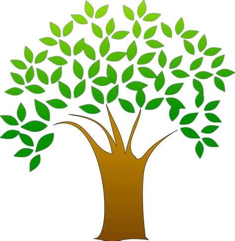 Tree With Green Leaves Clipart Free Download Transparent Png Creazilla
