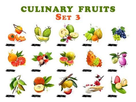 Culinary Fruits Set Part 3 Fruit Marang Culinary