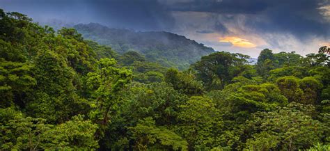 Monteverde Costa Rica Travel Excellence