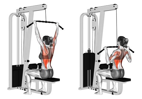 The Lat Pulldown Benefits Muscles Worked Etc Inspire Us