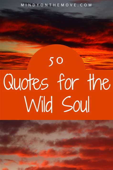 Quotes For The Wild Soul 50 Of My All Time Favorites In 2022 Wild