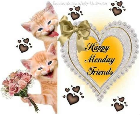 Two Kittens Happy Monday Friends Pictures Photos And Images For