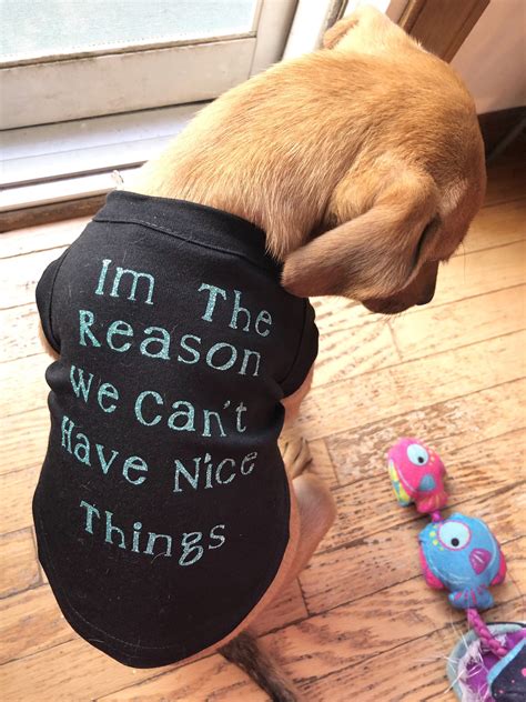 Dog Shirt Im The Reason We Cant Have Nice Things Shirt Black Etsy