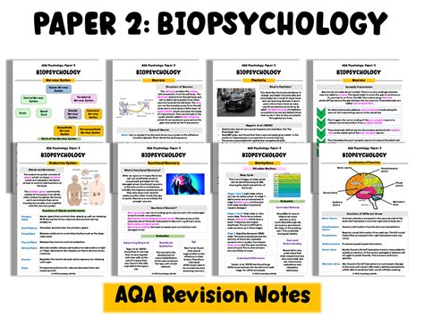 Aqa Biopsychology Full Revision Notes A Level Psychology Teaching