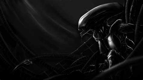 Xenomorph Wallpaper Xenomorph Digital Art Science Fiction Aliens Hd