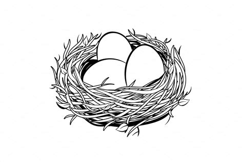 Nest With Golden Egg Coloring Vector Illustration Decorative
