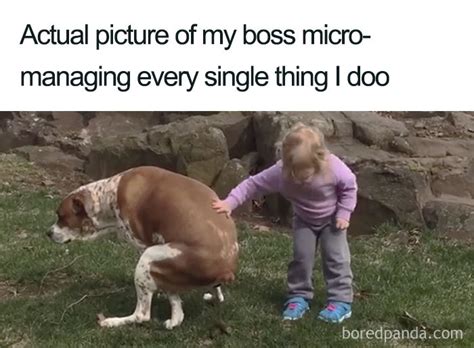 11 Hilarious Boss Memes That Are Too Relatable Wititudes
