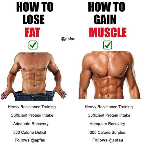 how long does it take to build muscle the ultimate guide