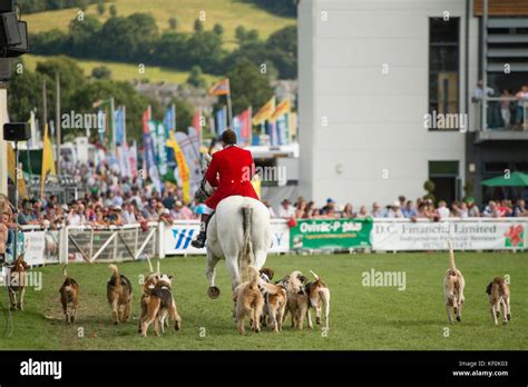 Royal Welsh Agricultural Show The Largest Annual Event In The Uk