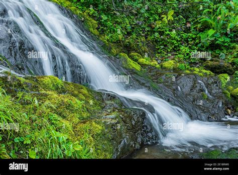 Waterfall Among Green Grass Mountain Stream On Mossy Boulders In