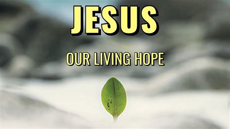 Effective Life Church Jesus Our Living Hope Luke Guest Youtube