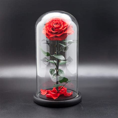 Beauty And The Beast Handmade Preserved Eternal Rose With Fallen Petals