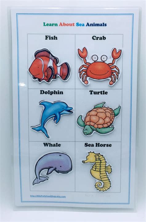 Sea Animals Learning Preschool Home School Chart Etsy