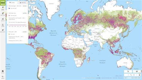 Global Forest Watch Offers The Latest Data Technology And Tools That