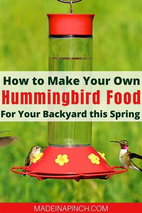 Easy 2 Ingredient Homemade Hummingbird Food Recipe Recipe Homemade